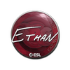 Sticker | Ethan | Katowice 2019