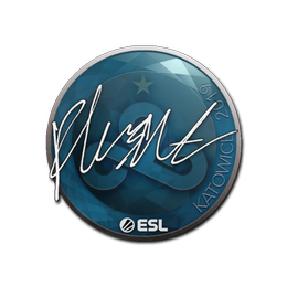 Sticker | flusha | Katowice 2019