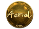 Sticker | Aerial (Gold) | Katowice 2019