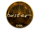 Avangar | buster