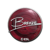 Sticker | Brehze | Katowice 2019