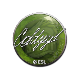 Sticker | COLDYY1 | Katowice 2019