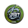 Sticker | Team Spirit | Katowice 2019