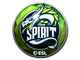 Sticker | Team Spirit (Foil) | Katowice 2019