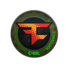 Sticker | FaZe Clan (Holo) | Katowice 2019