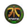 Sticker | Fnatic (Holo) | Katowice 2019