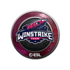 Sticker | Winstrike Team | Katowice 2019