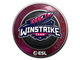 Sticker | Winstrike Team | Katowice 2019