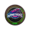 Sticker | Winstrike Team (Holo) | Katowice 2019