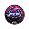 Sticker | Winstrike Team (Foil) | Katowice 2019