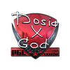 Sticker | Dosia (Foil) | Krakow 2017