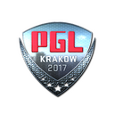 PGL (Foil) | Krakow 2017