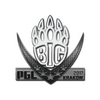 Sticker | BIG | Krakow 2017