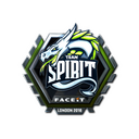 Team Spirit (Foil) | London 2018