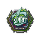 Team Spirit (Holo) | London 2018