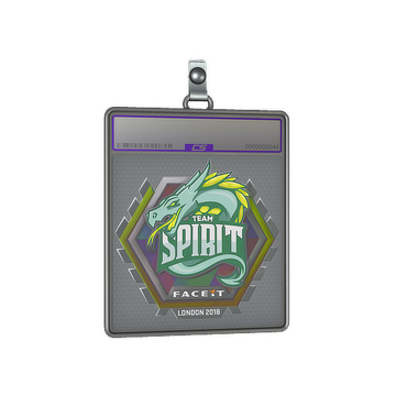 Sticker Slab | Team Spirit (Holo) | London 2018