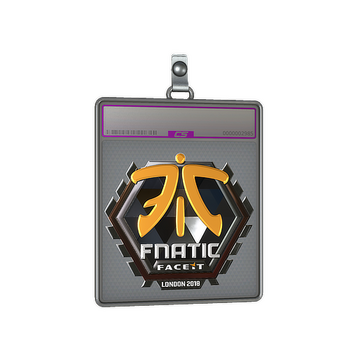 Sticker Slab | Fnatic (Foil) | London 2018