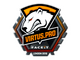 Sticker | Virtus.Pro (Foil) | London 2018