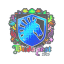 Team Liquid (Holo) | Budapest 2025