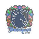Team Liquid (Embroidered) | Budapest 2025