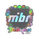MIBR (Holo) | Budapest 2025