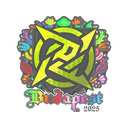 Ninjas in Pyjamas (Holo) | Budapest 2025