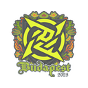 Ninjas in Pyjamas | Budapest 2025