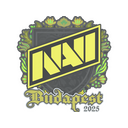 Natus Vincere | Budapest 2025