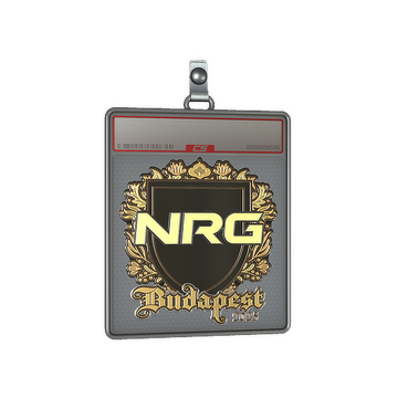 Sticker Slab | NRG (Gold) | Budapest 2025