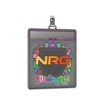 Sticker Slab | NRG (Holo) | Budapest 2025