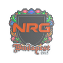 NRG (Embroidered) | Budapest 2025