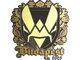 Sticker | Vitality (Gold) | Budapest 2025