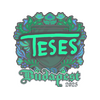 Sticker | TeSeS | Budapest 2025