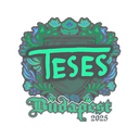 TeSeS | Budapest 2025