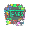 Sticker | TeSeS (Holo) | Budapest 2025
