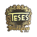 TeSeS (Gold) | Budapest 2025