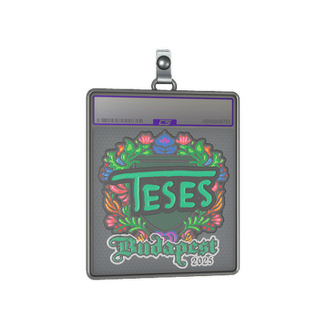 Sticker Slab | TeSeS (Embroidered) | Budapest 2025
