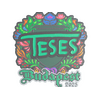 Sticker | TeSeS (Embroidered) | Budapest 2025