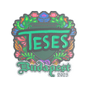 TeSeS (Embroidered) | Budapest 2025