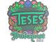 Sticker | TeSeS (Embroidered) | Budapest 2025