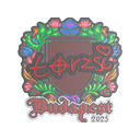 torzsi (Embroidered) | Budapest 2025