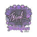 Tiger | Budapest 2025