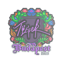 Tiger (Embroidered) | Budapest 2025