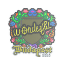 w0nderful (Embroidered) | Budapest 2025