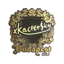 xKacpersky (Gold) | Budapest 2025