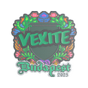 vexite (Embroidered) | Budapest 2025