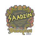 saadzin | Budapest 2025