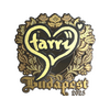 Sticker | Starry (Gold) | Budapest 2025