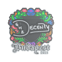 decenty (Embroidered) | Budapest 2025