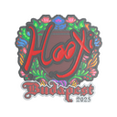 HooXi (Embroidered) | Budapest 2025